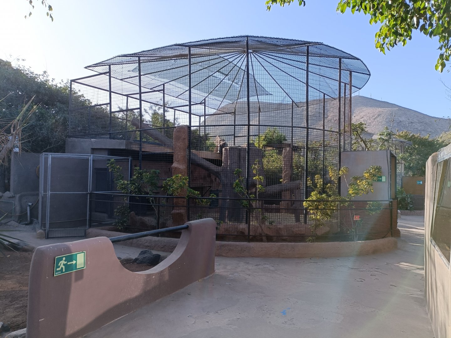 Hanuman langur exhibit