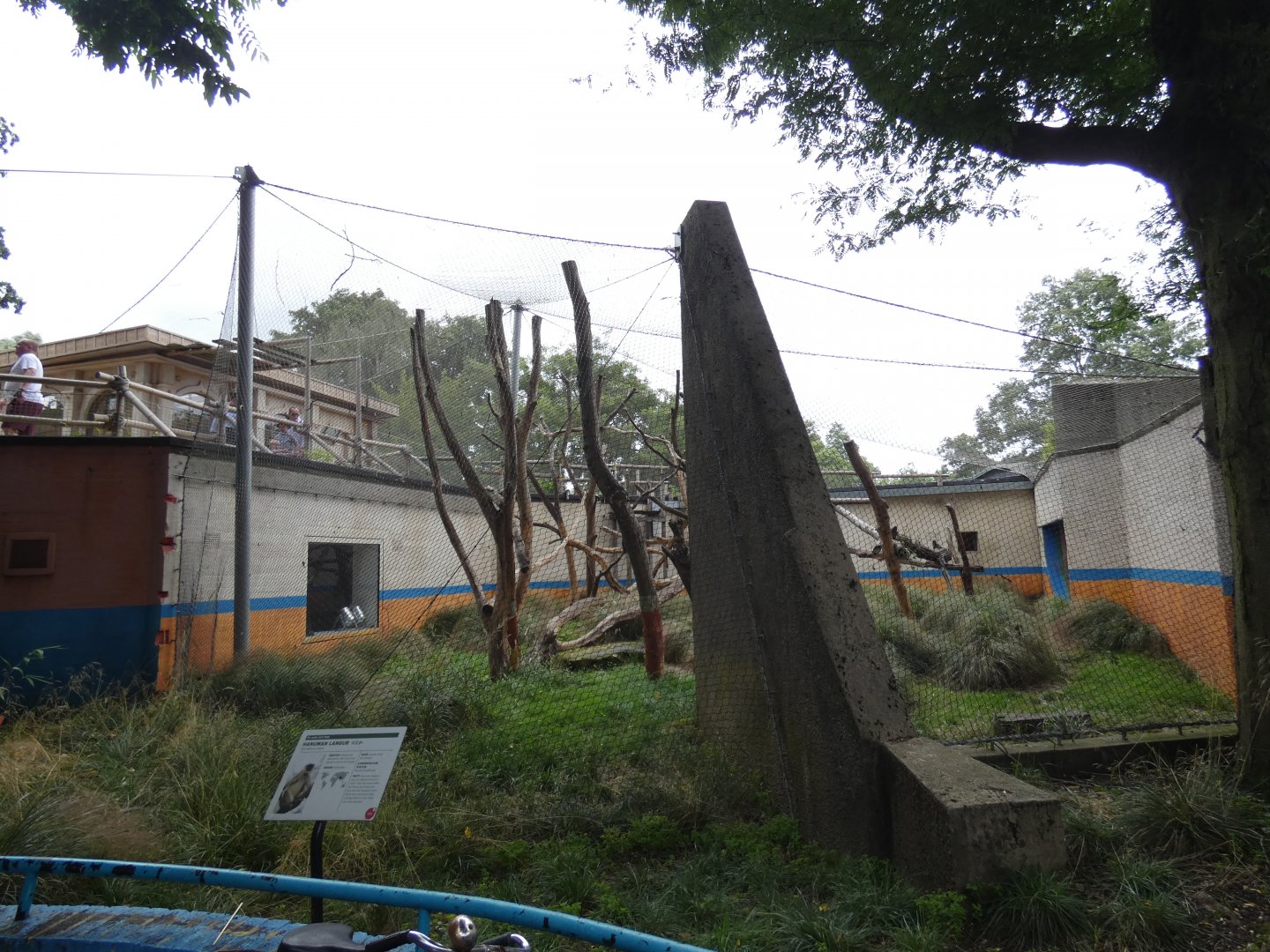 Hanuman langur outdoor enclosure (2)