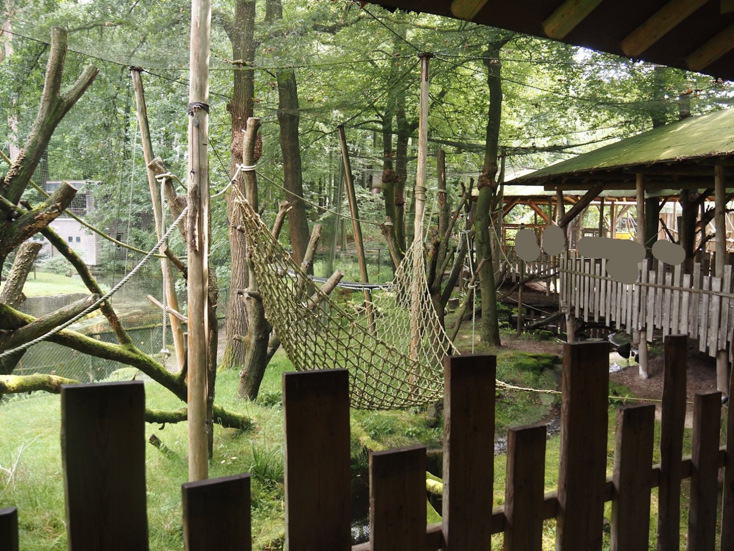 Hanuman langur walk-through exhibit, 2024-08-18