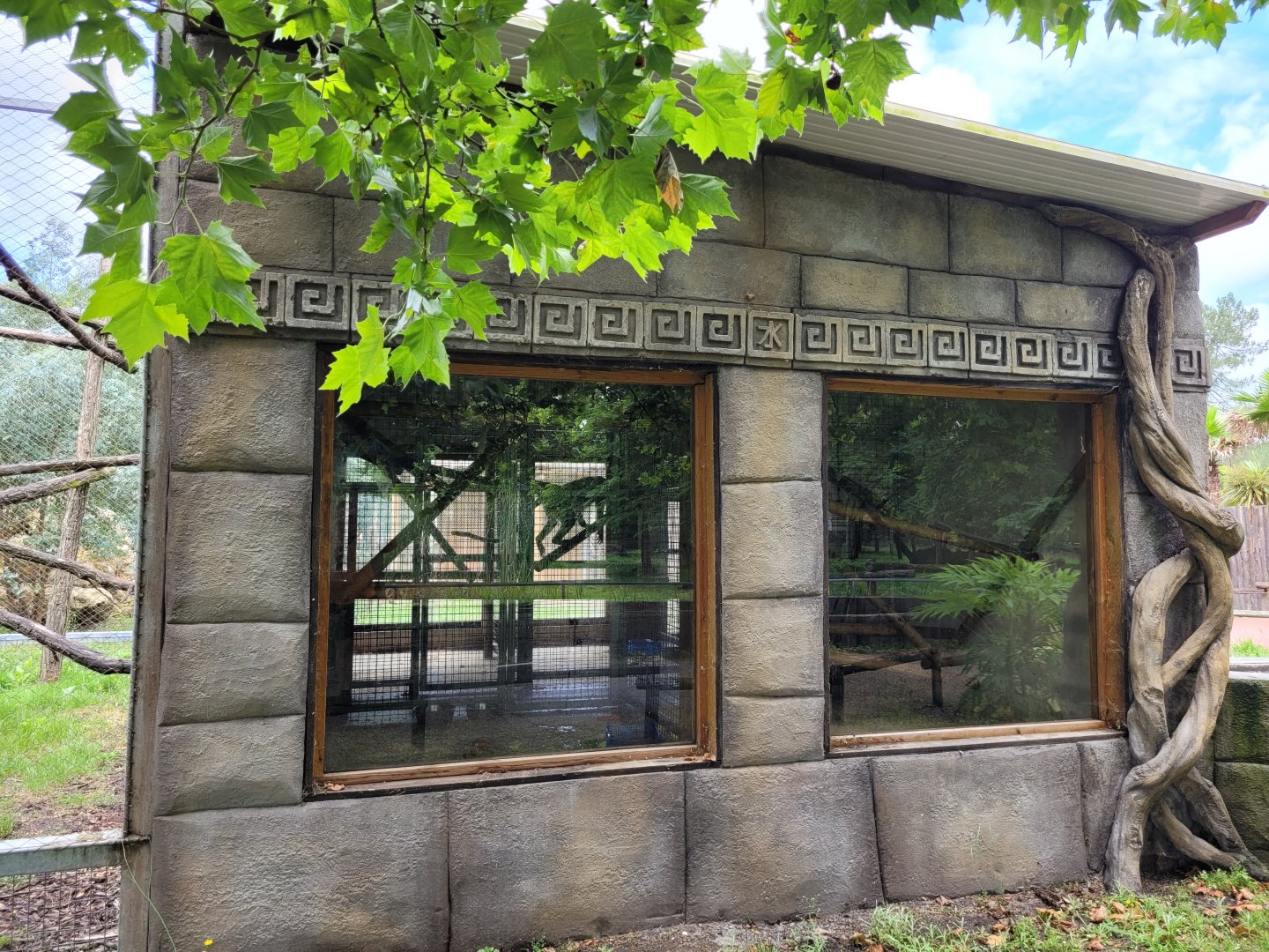 Hanuman's langur exhibit -Zoo du bassin d'Arcachon (2024)