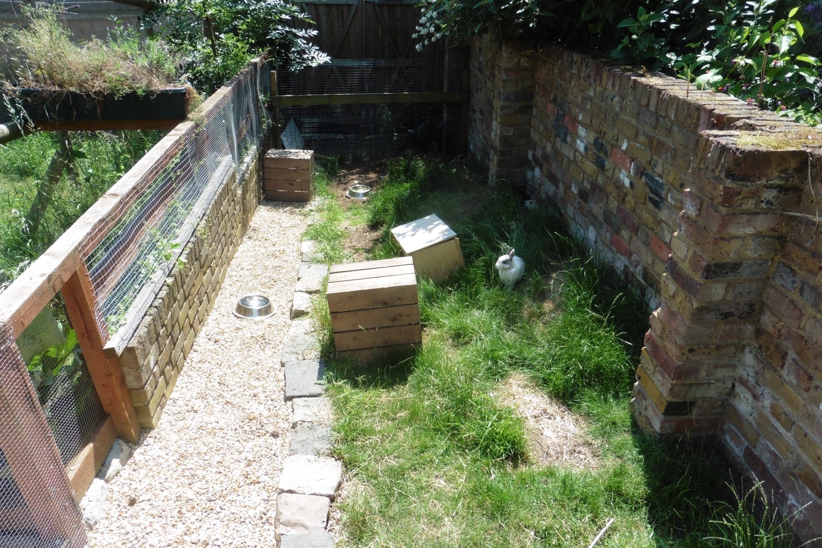 HANWELL ZOO: Bunny Wabbit