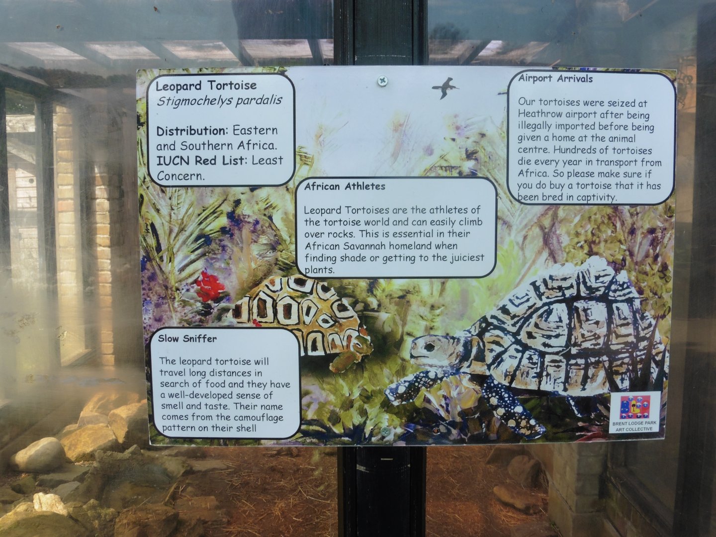 HANWELL ZOO: Leopard tortoise sign design