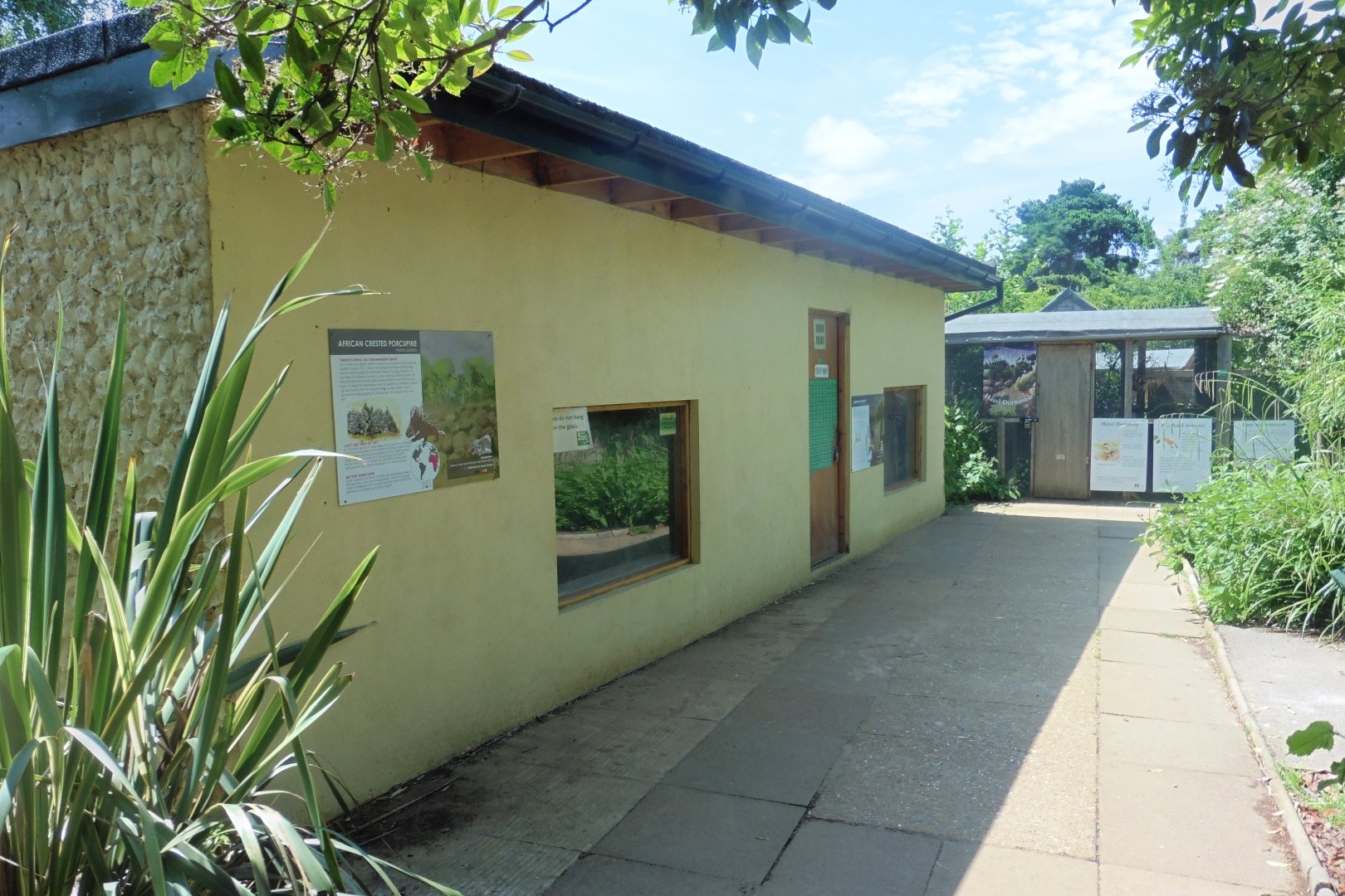 HANWELL ZOO: Meerkat/African Crested Porcupine Dens