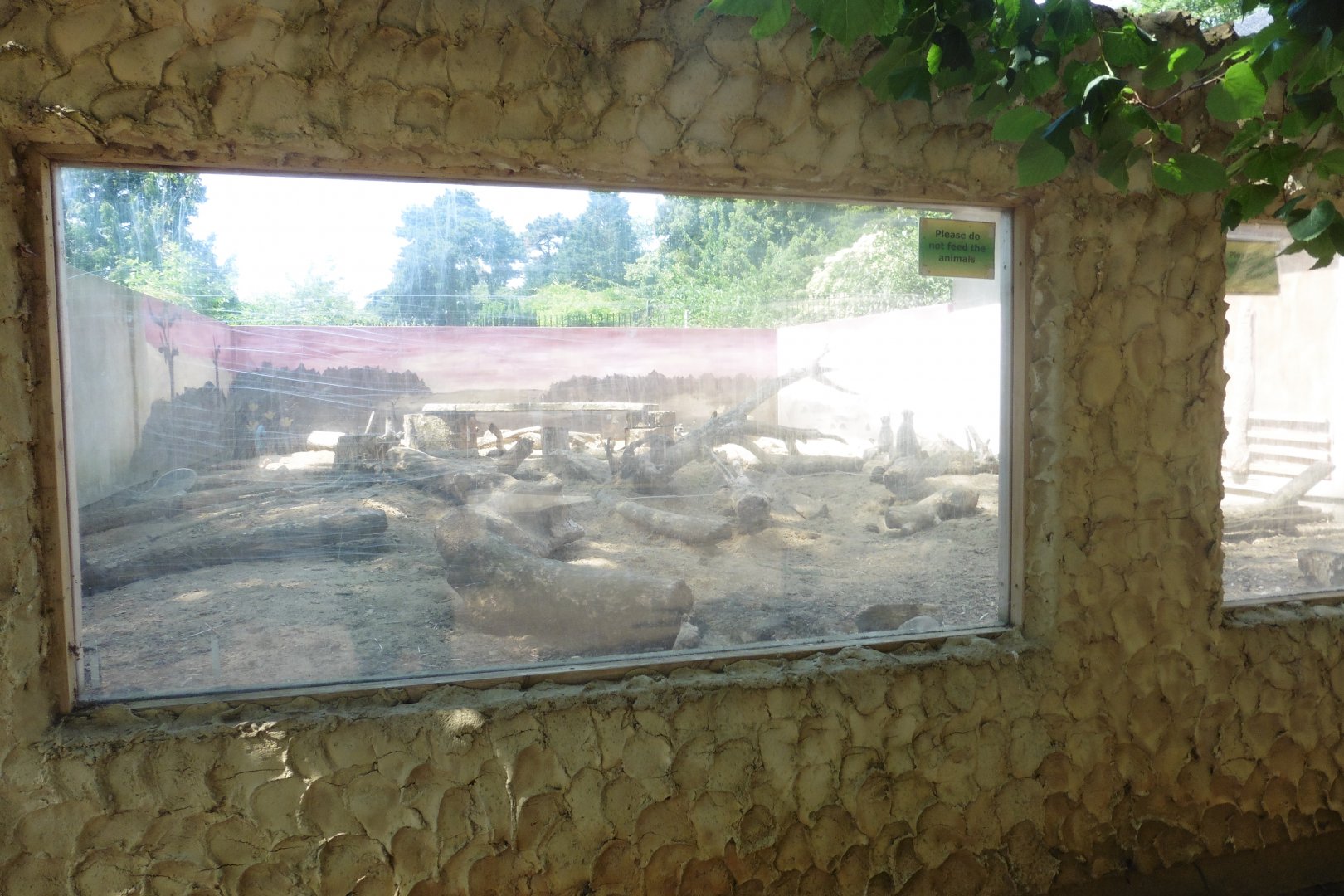 HANWELL ZOO: Meerkat/African Crested Porcupine enclosure