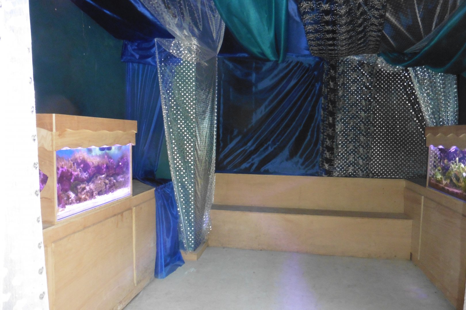 HANWELL ZOO: New Aquarium hut