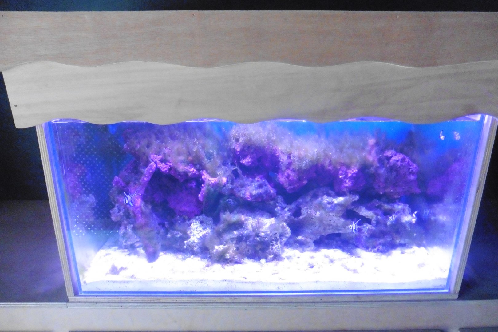 HANWELL ZOO: New Aquarium hut