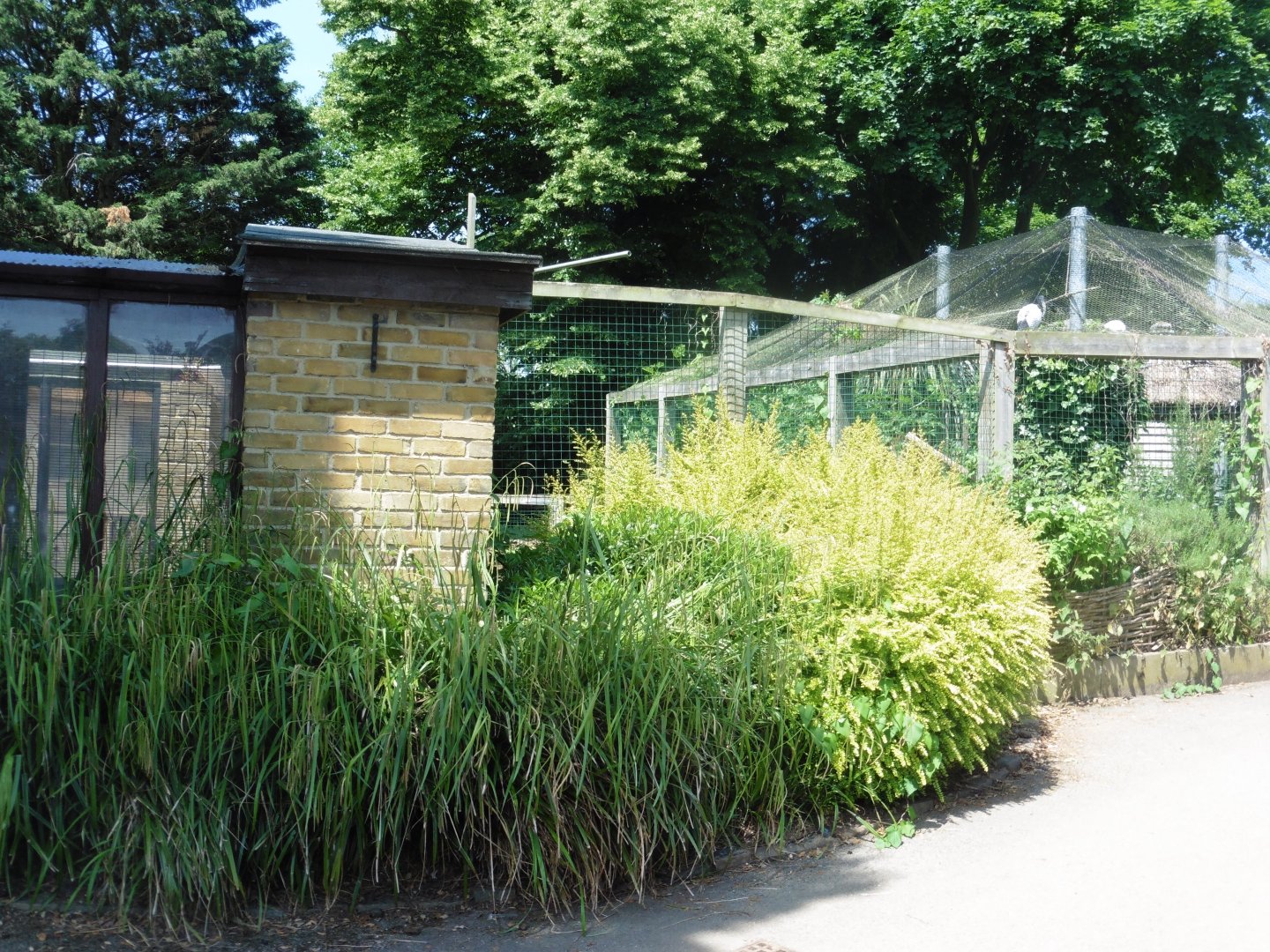 HANWELL ZOO: Outer Aviaries