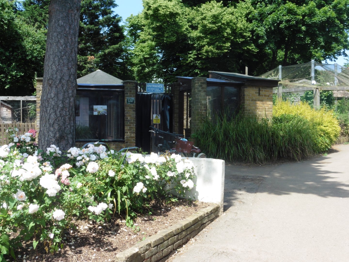 HANWELL ZOO: Outer Aviaries