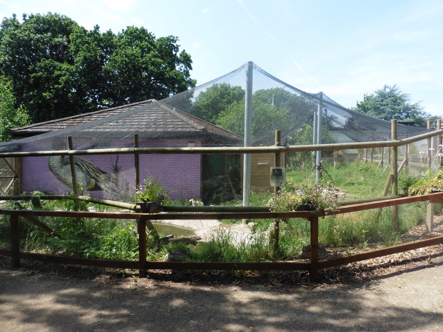 HANWELL ZOO:Pied Avocet aviary