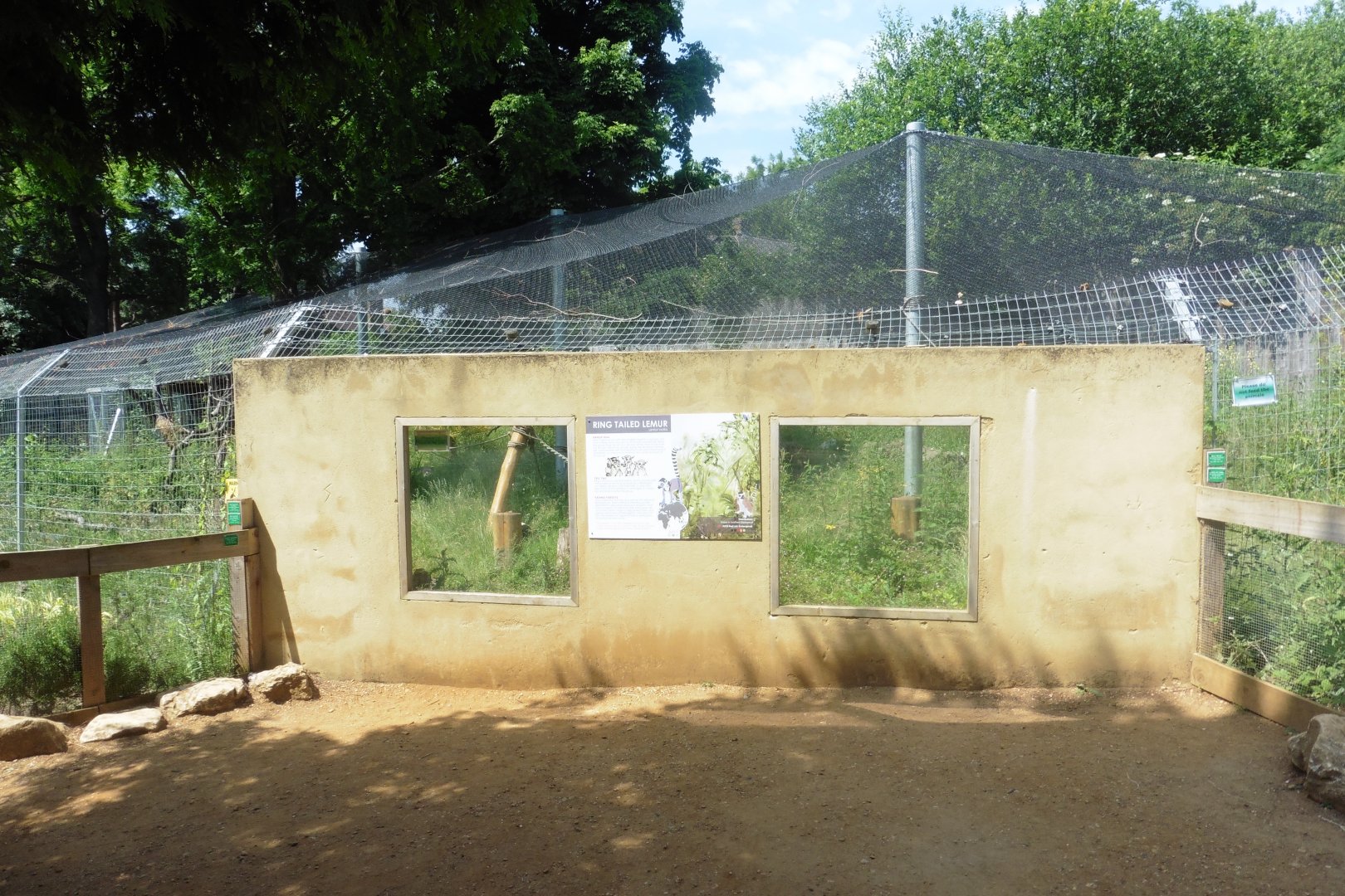 HANWELL ZOO:  Ring-tailed Lemur enclosure
