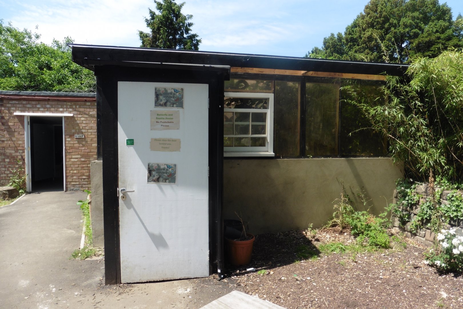 HANWELL ZOO: Tropical/Butterfly House