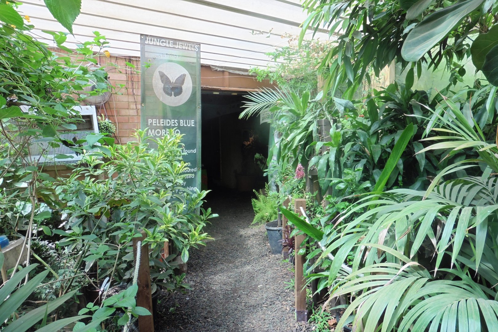 HANWELL ZOO: Tropical/Butterfly House