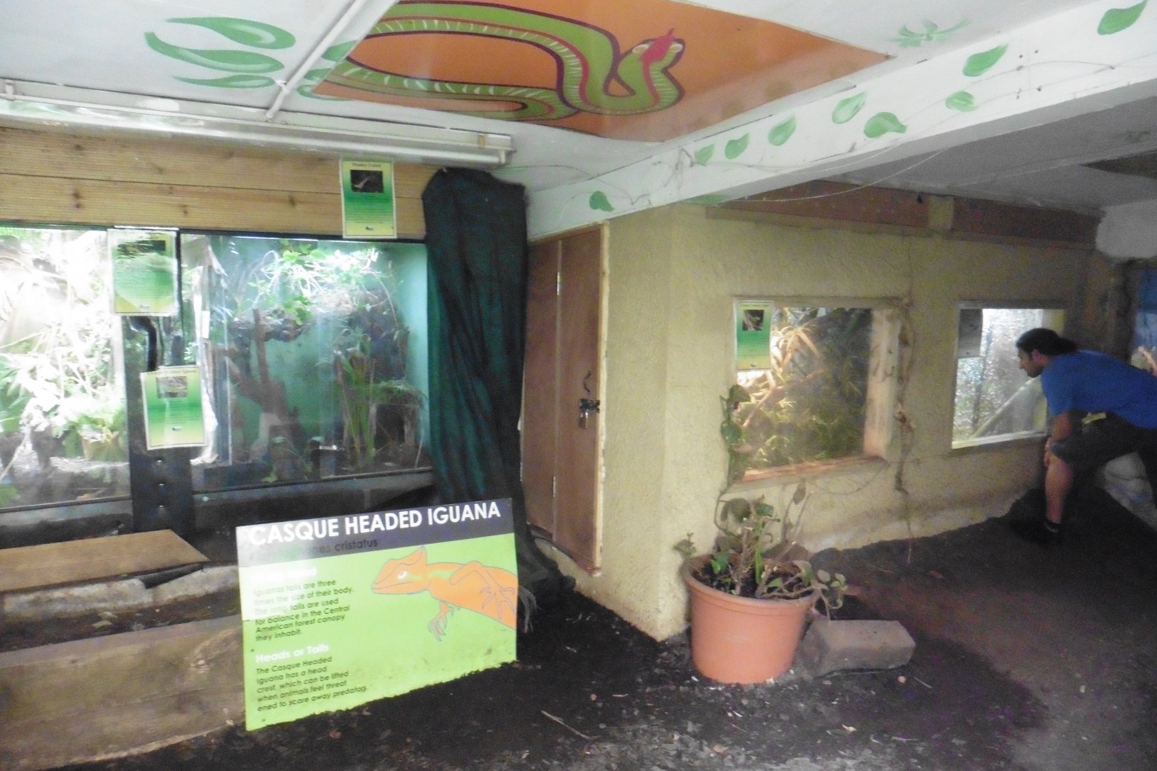 HANWELL ZOO: Tropical/Butterfly House