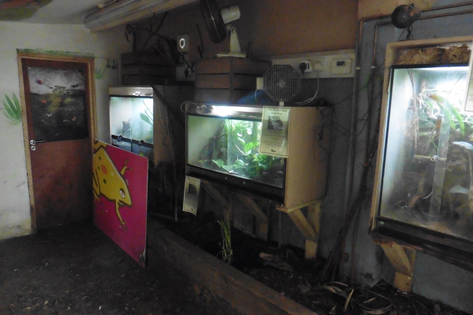 HANWELL ZOO: Tropical/Butterfly House