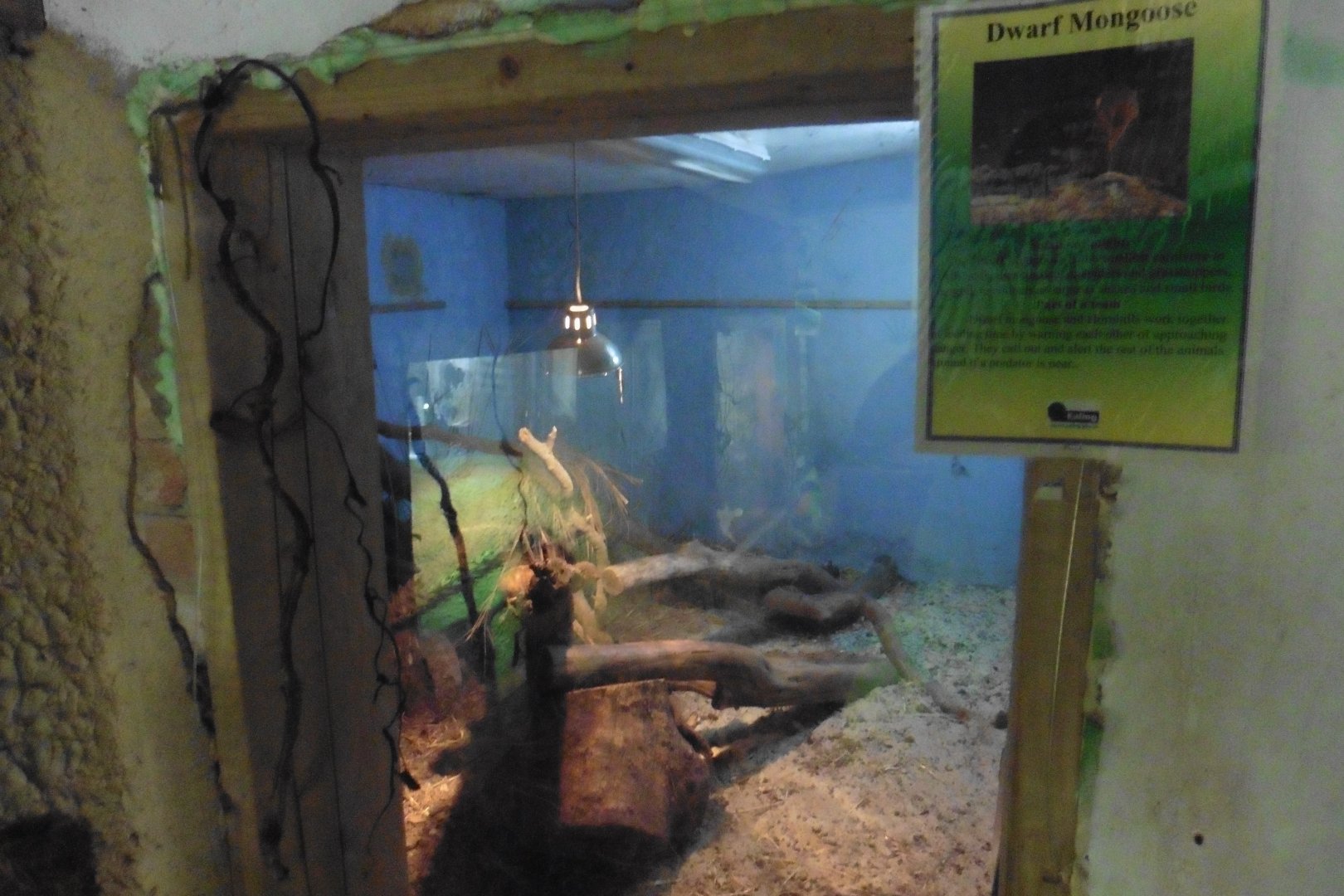 HANWELL ZOO: Tropical/Butterfly House