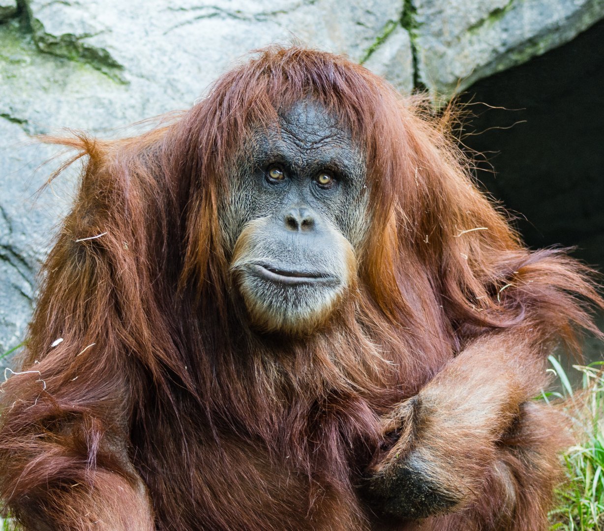 Happy 29th Birthday Karen