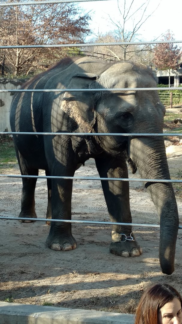 Happy Birthday, Swarna!