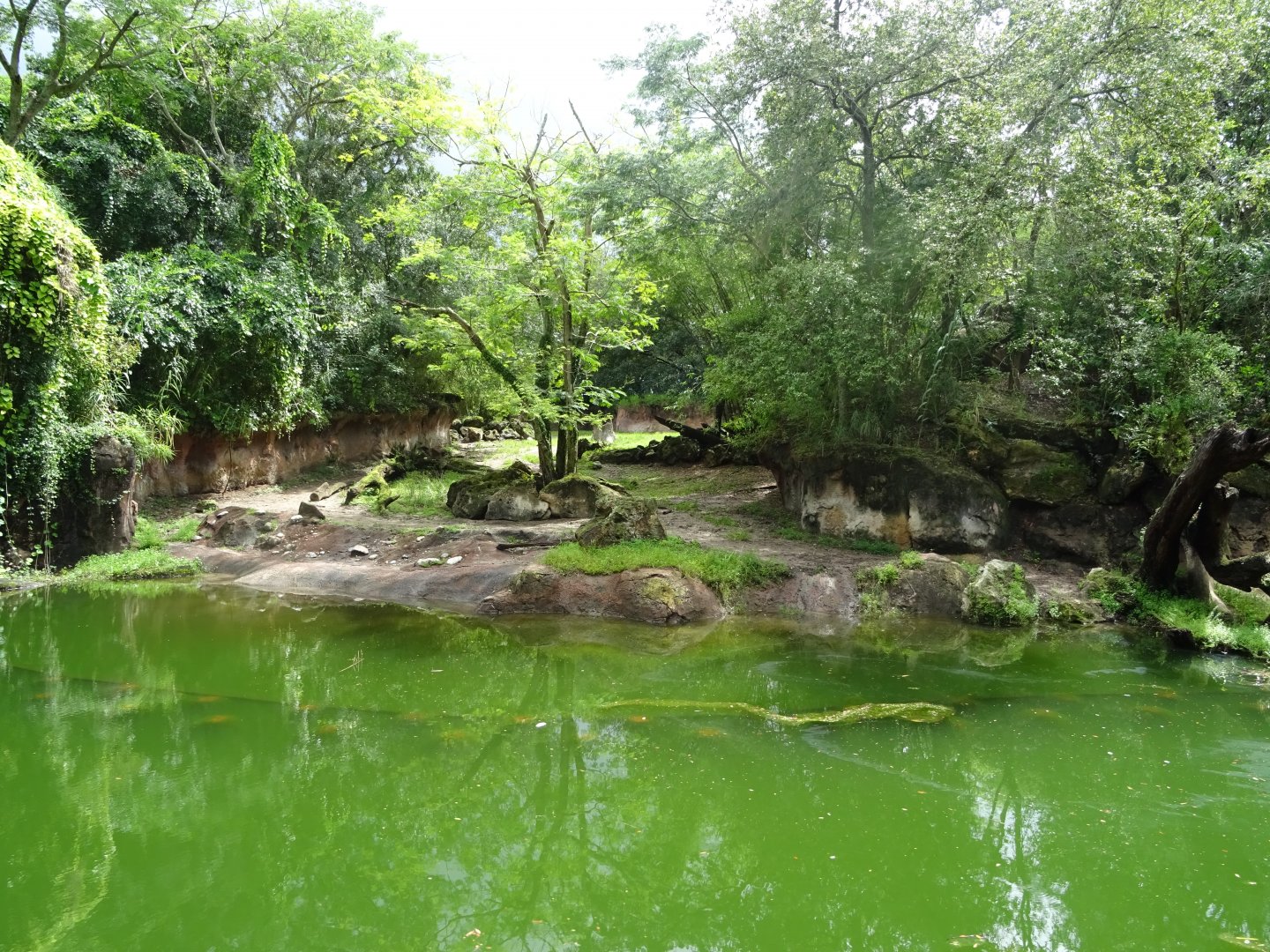 Harambe Wildlife Reserve at Disney's Animal Kingdom (2014)