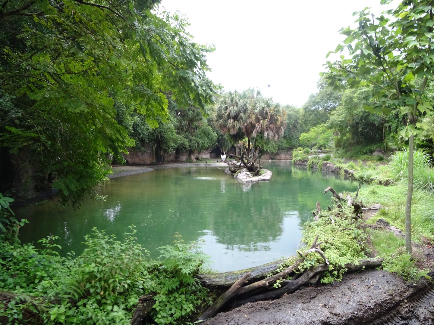 Harambe Wildlife Reserve at Disney's Animal Kingdom (2014)