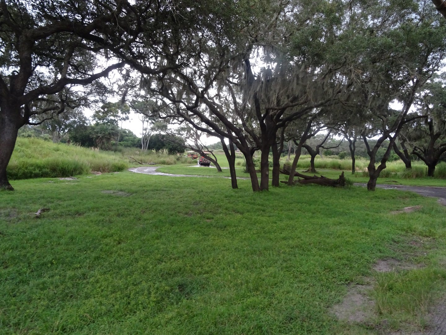 Harambe Wildlife Reserve at Disney's Animal Kingdom (2014)