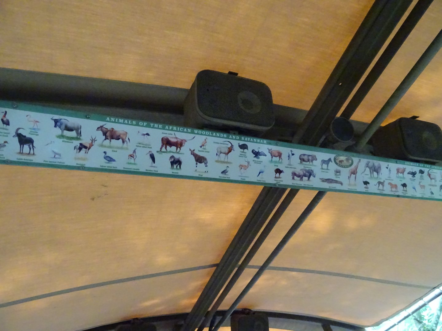 Harambe Wildlife Reserve Species List at Disney's Animal Kingdom (2014)