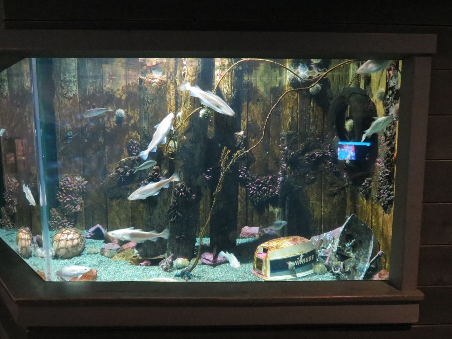 Harbor Bottom Exhibit