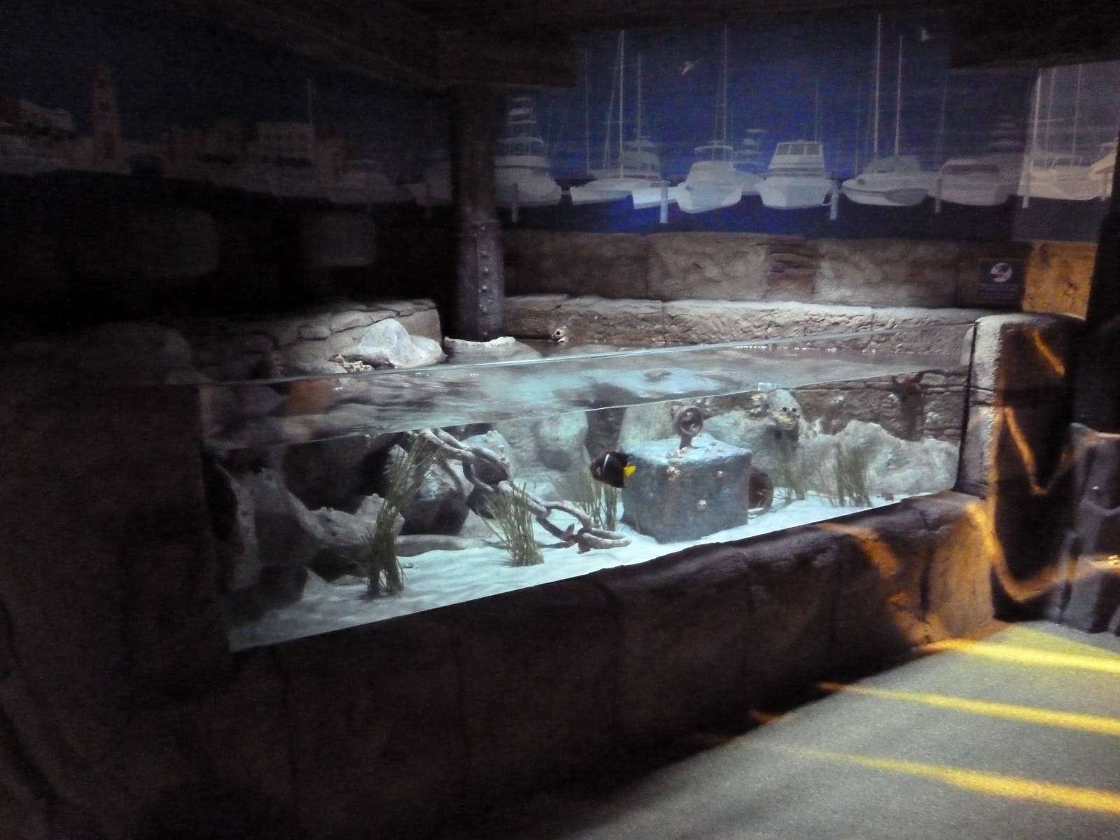 Harbor Exhibit