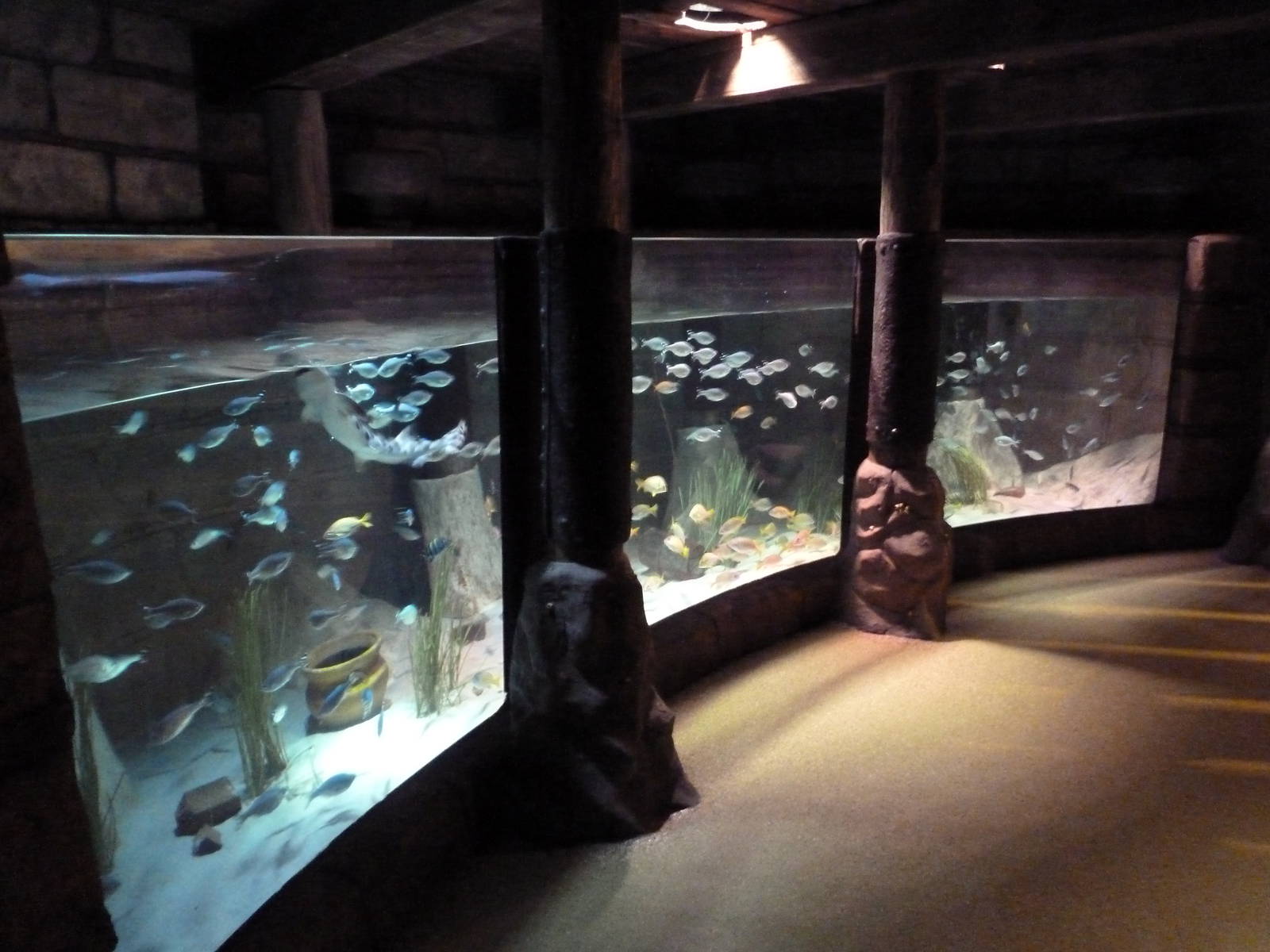 Harbor Exhibit
