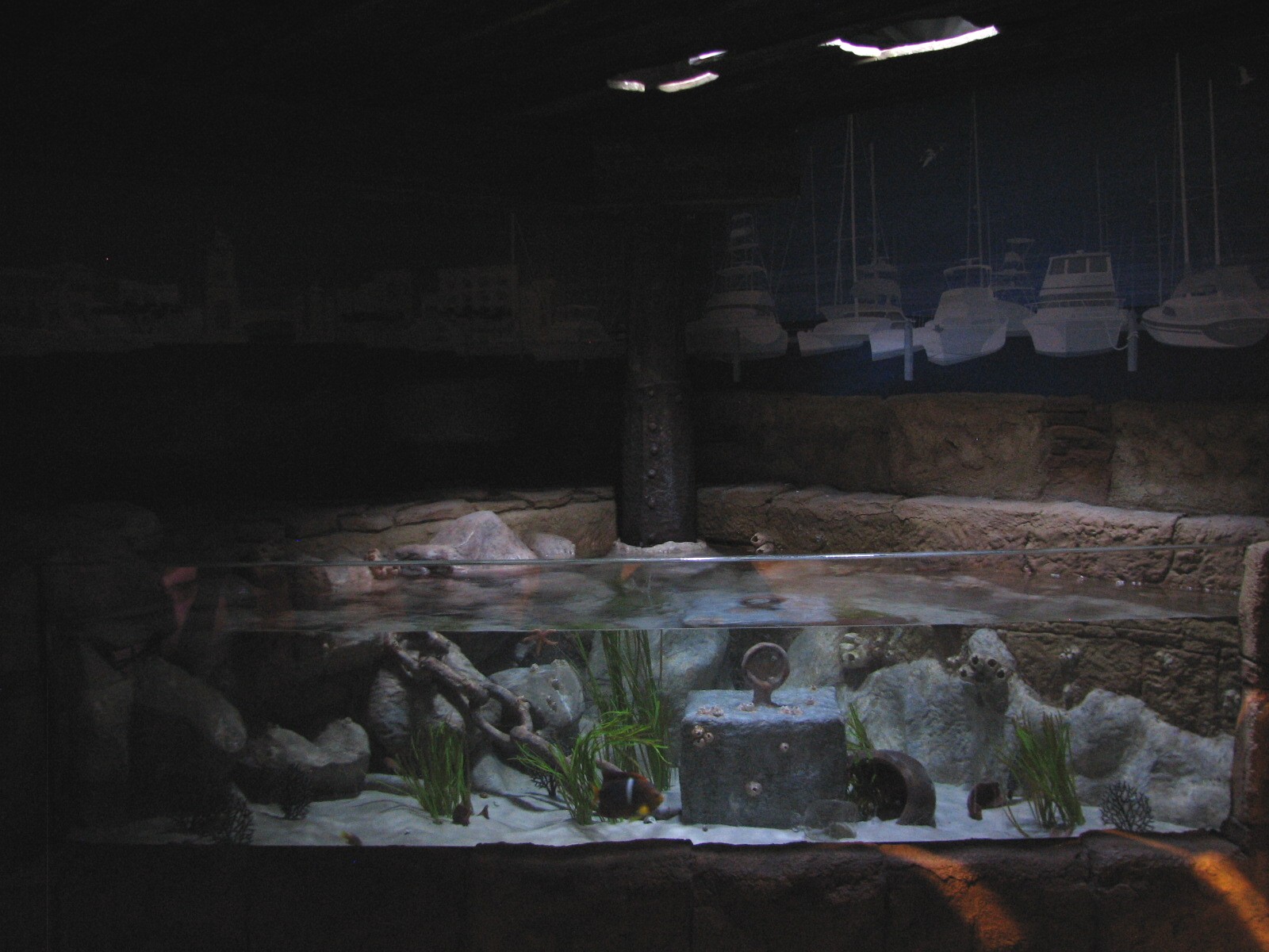 Harbor - First Exhibit