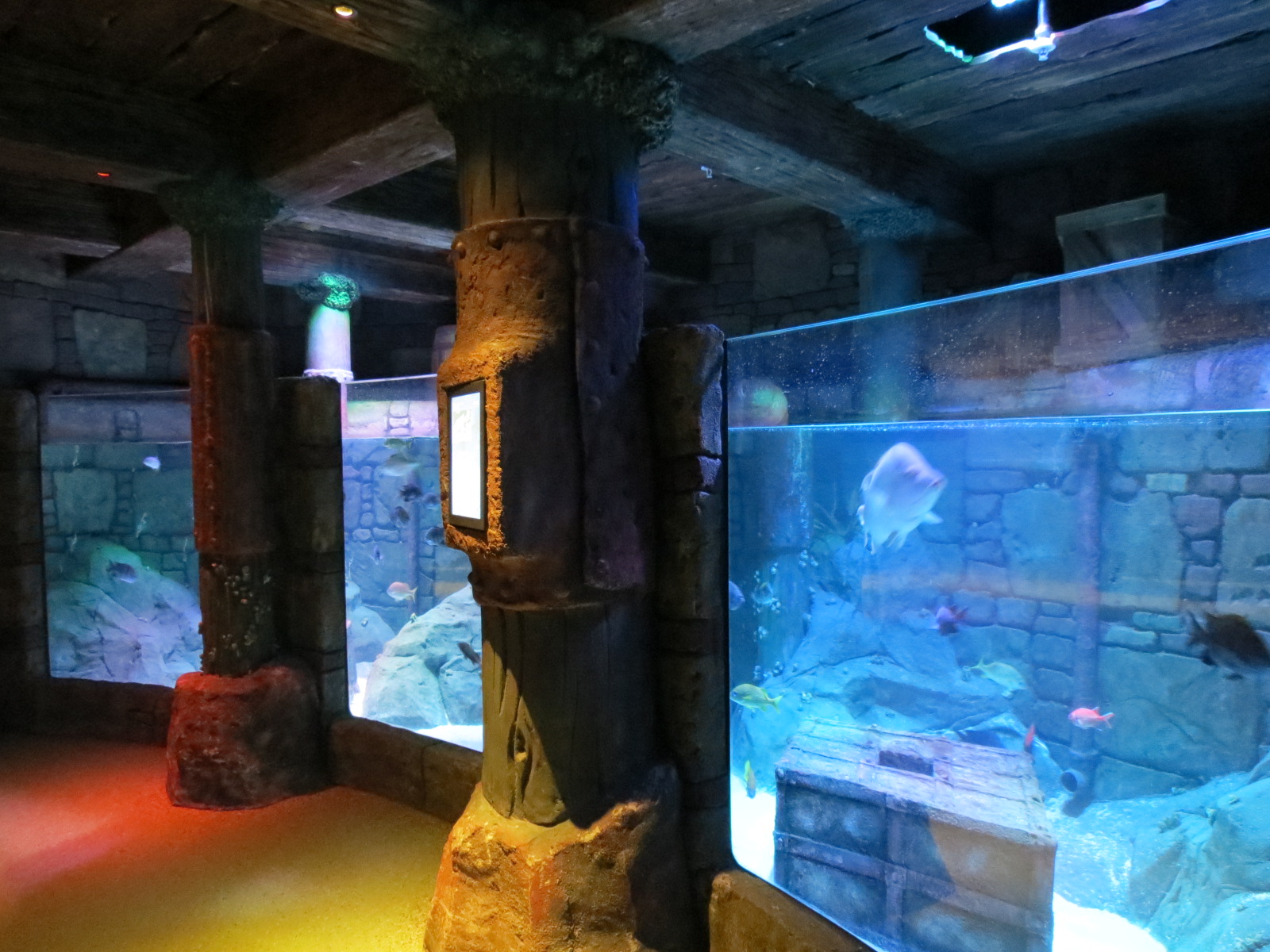 Harbor - Large Open-top Tank