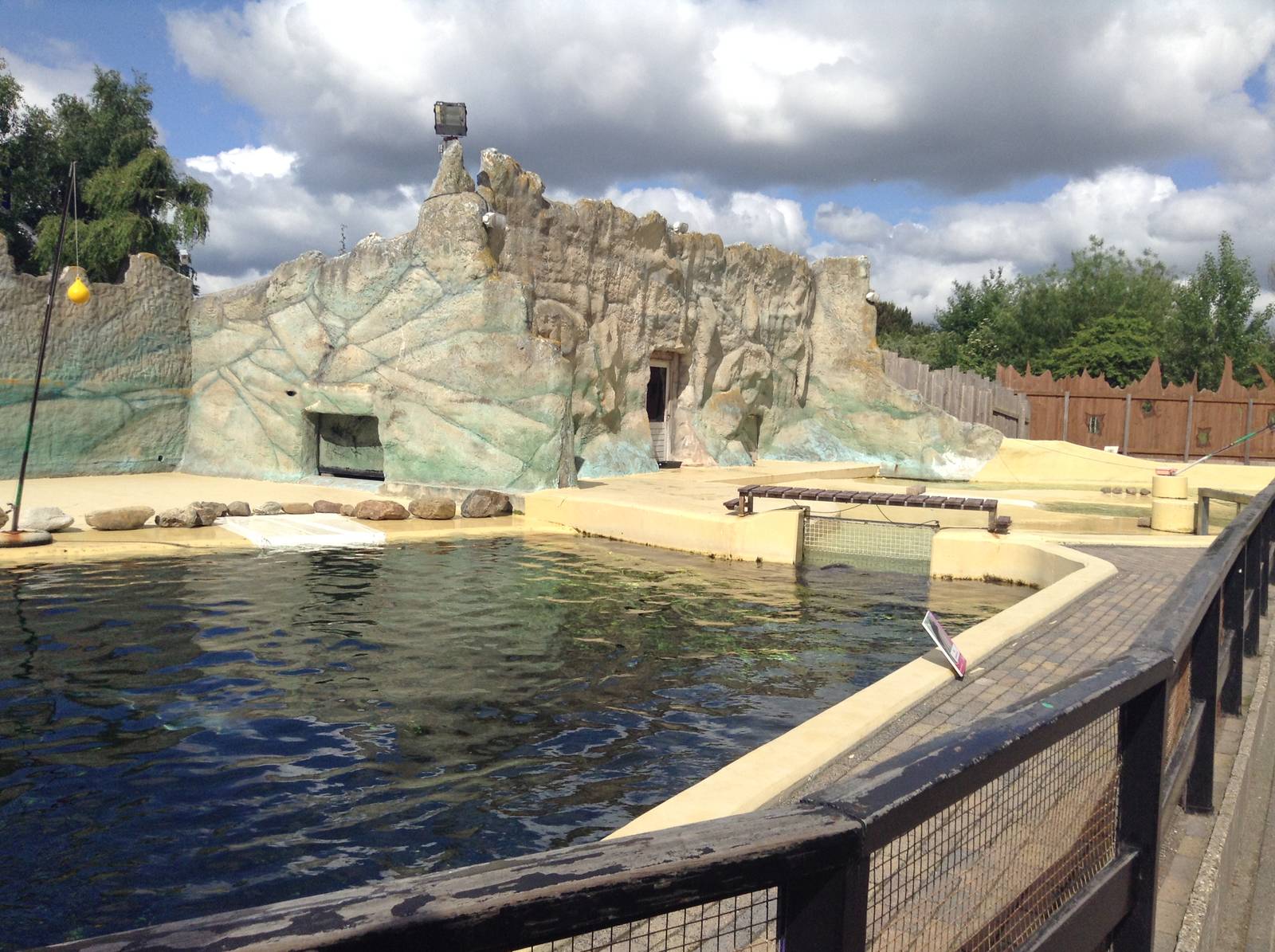 Harbor Porpoise Enclosure (Old Walrus Enclosure) - 2015