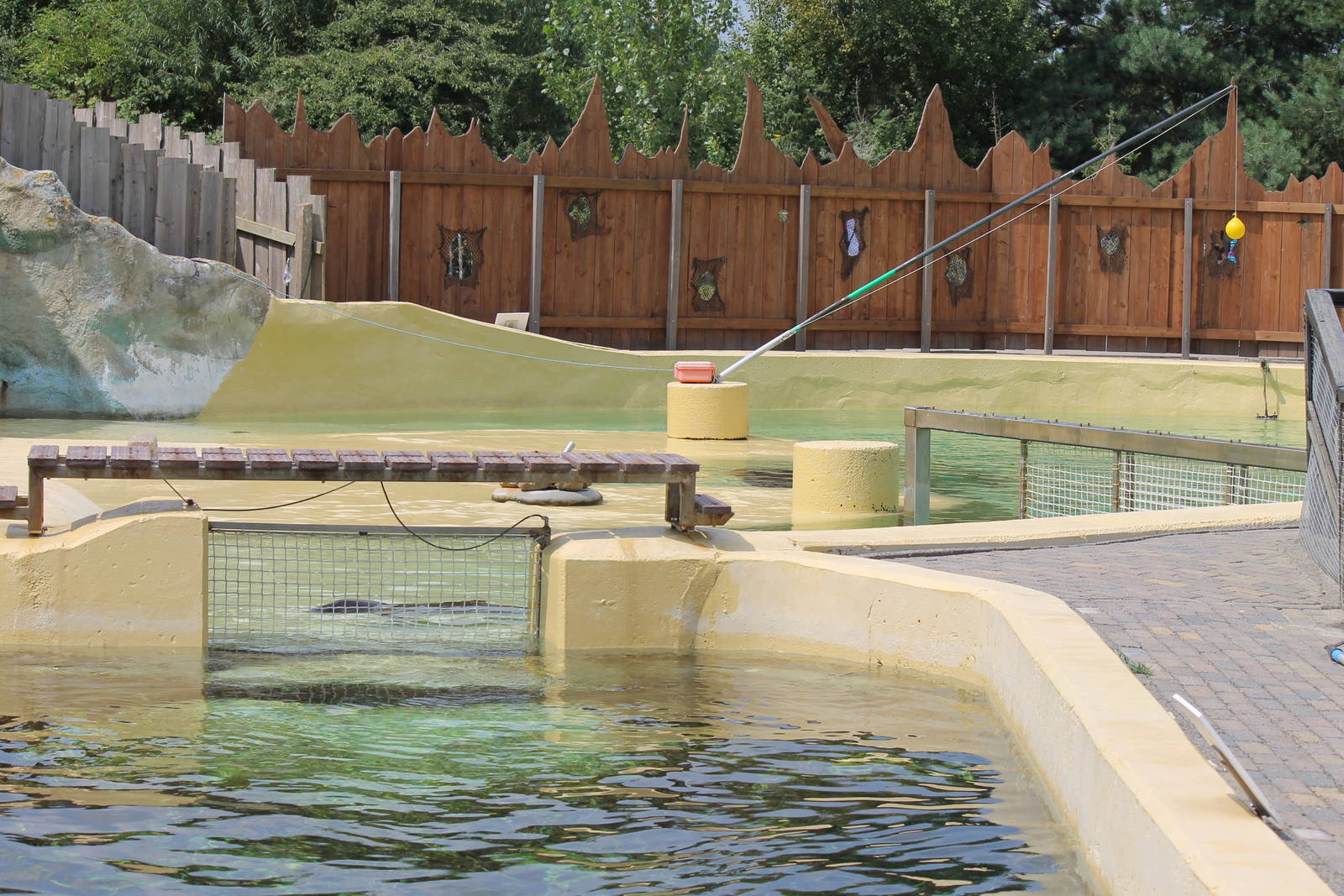 Harbor porpoise enclosure