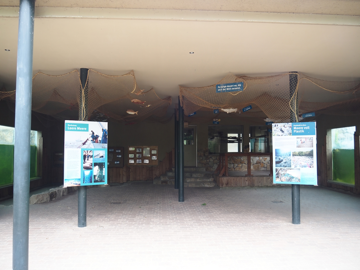 Harbor seal and Humboldt penguin underwater viewing area with education about plastic pollution, 2025-05-22