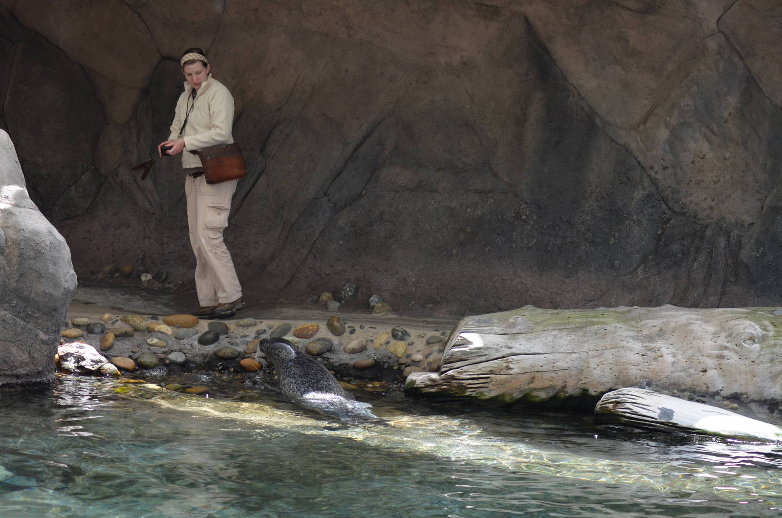 Harbor Seal and Keeper