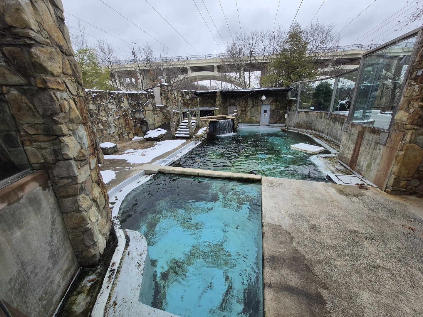 Harbor Seal/California Sea Lion Exhibit