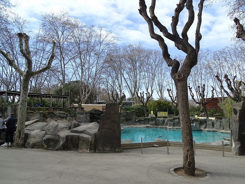 Harbor seal enclosure