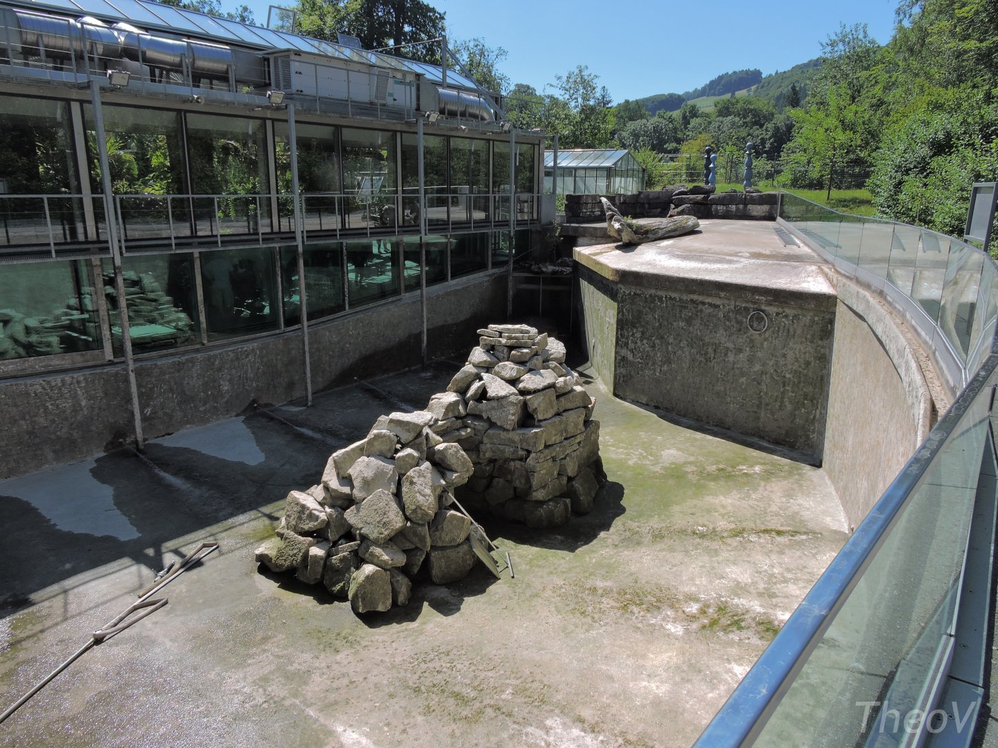 Harbor seal exhibit [2017]