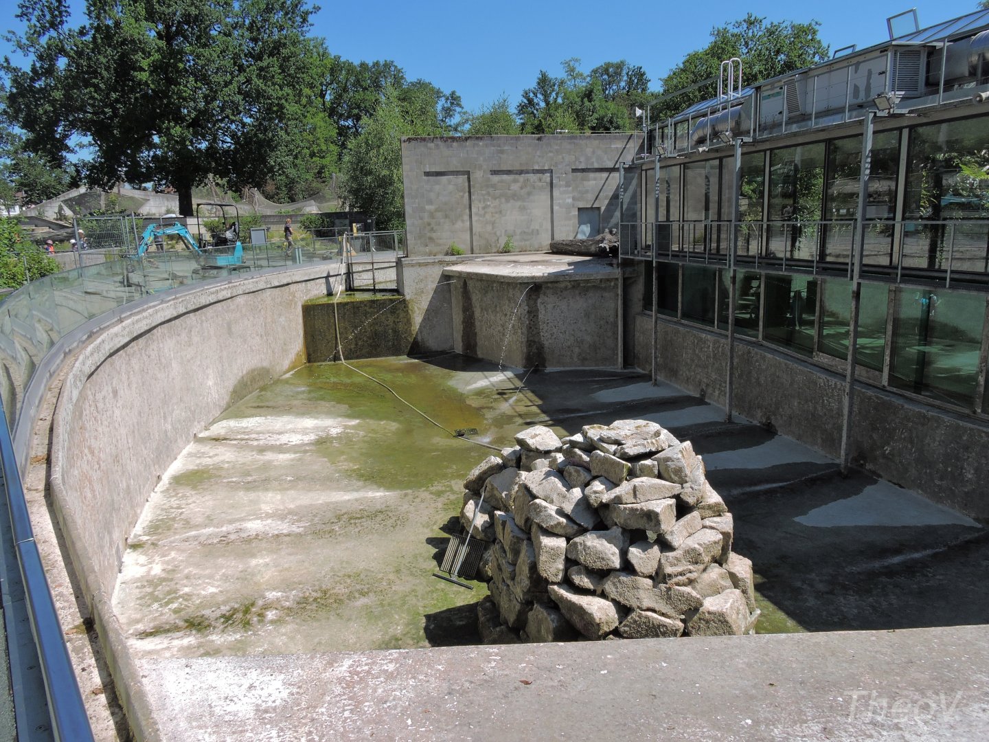 Harbor seal exhibit [2017]