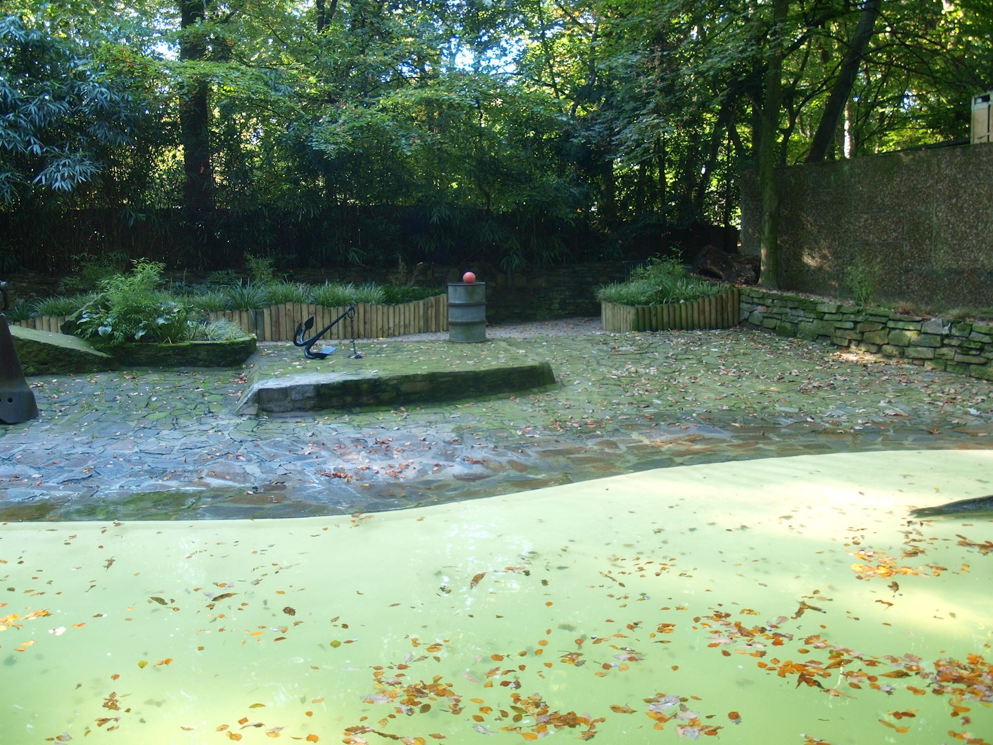 Harbor seal exhibit (Now gone), 2014-10-19
