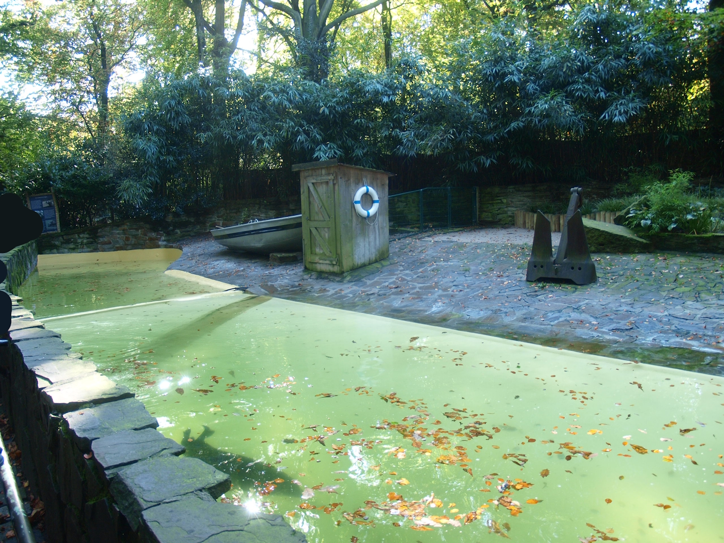 Harbor seal exhibit (Now gone), 2014-10-19