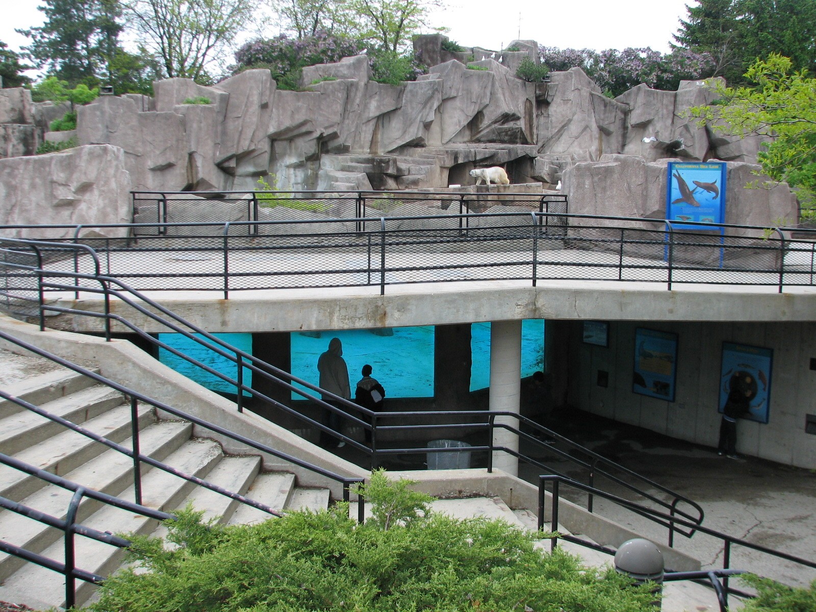 Harbor Seal Exhibit with Polar Bear Exhibit in background