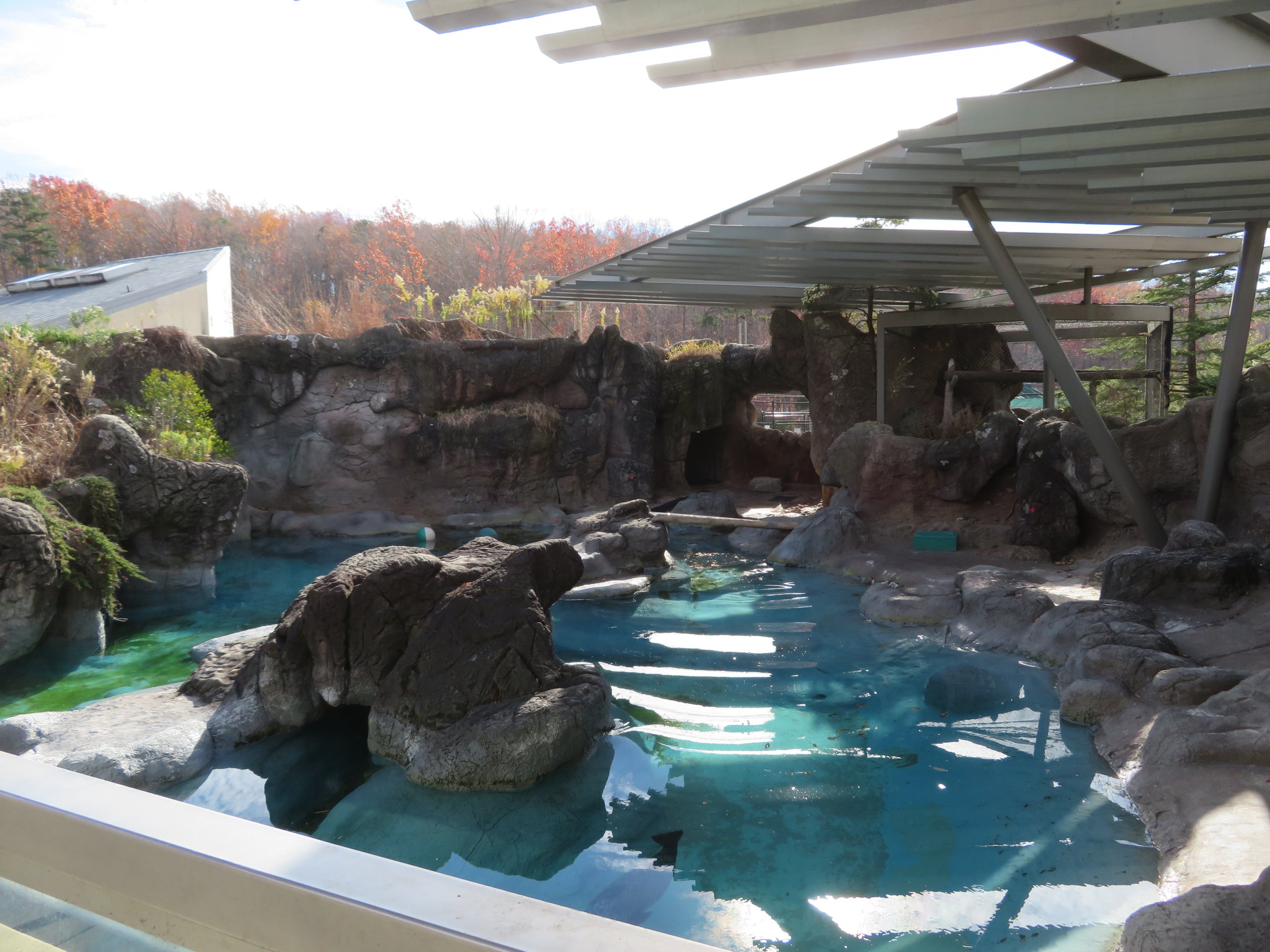 Harbor Seal Exhibit
