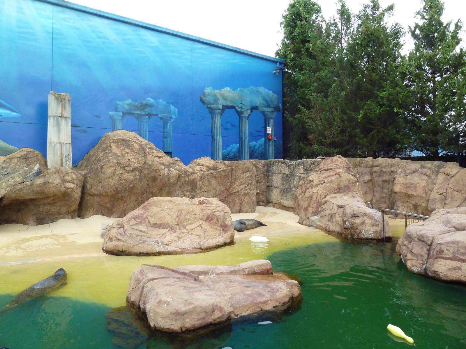 Harbor Seal/Gray Seal Exhibit