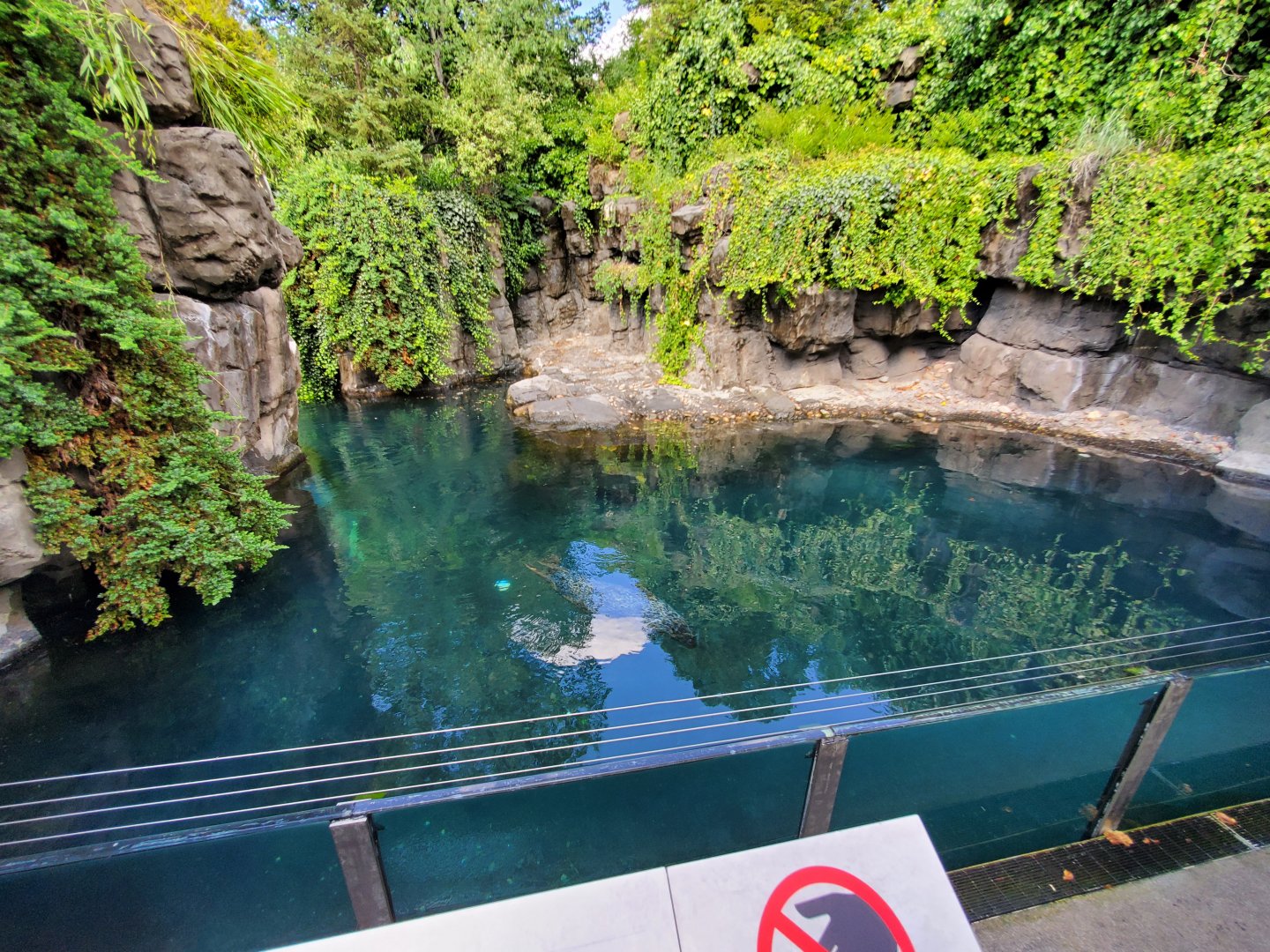 Harbor Seal Habitat - August 2021