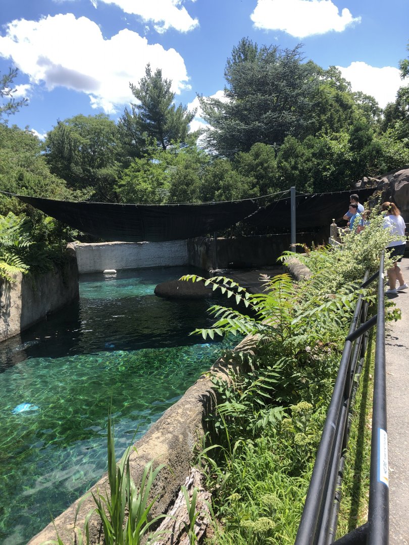 Harbor Seal Habitat - July, 2020