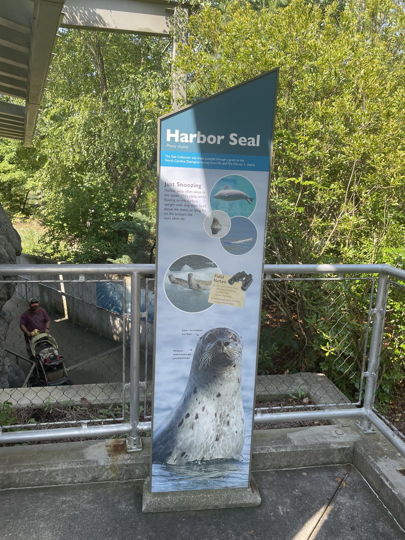 Harbor Seal Signage