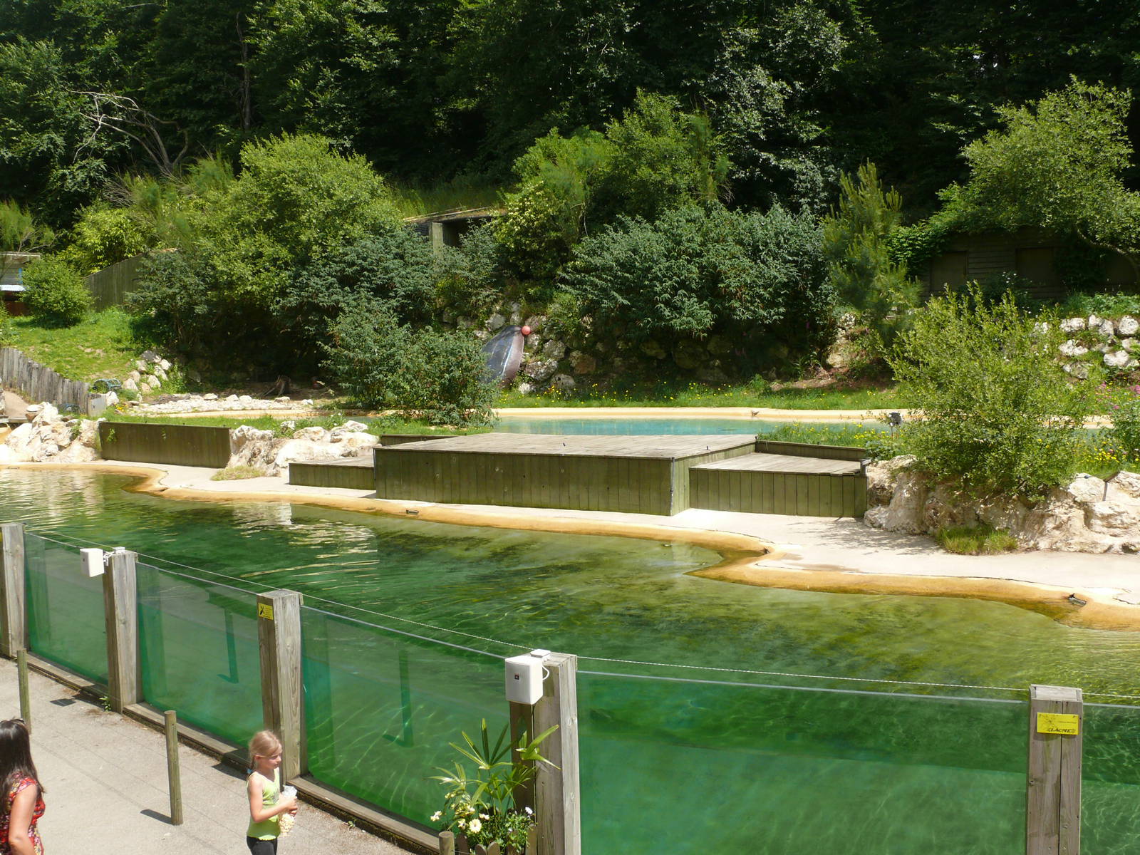Harbor seals exhibit and aquatic birds show area