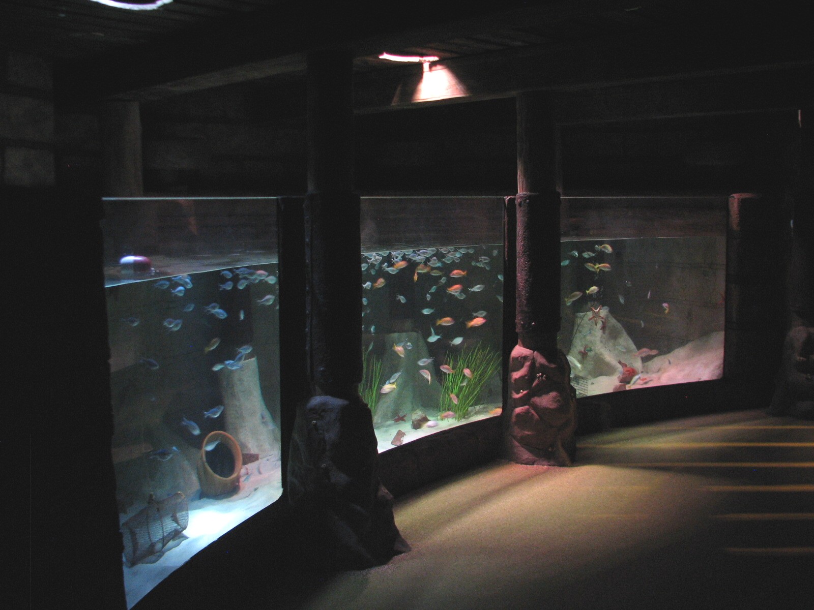 Harbor - Second Exhibit