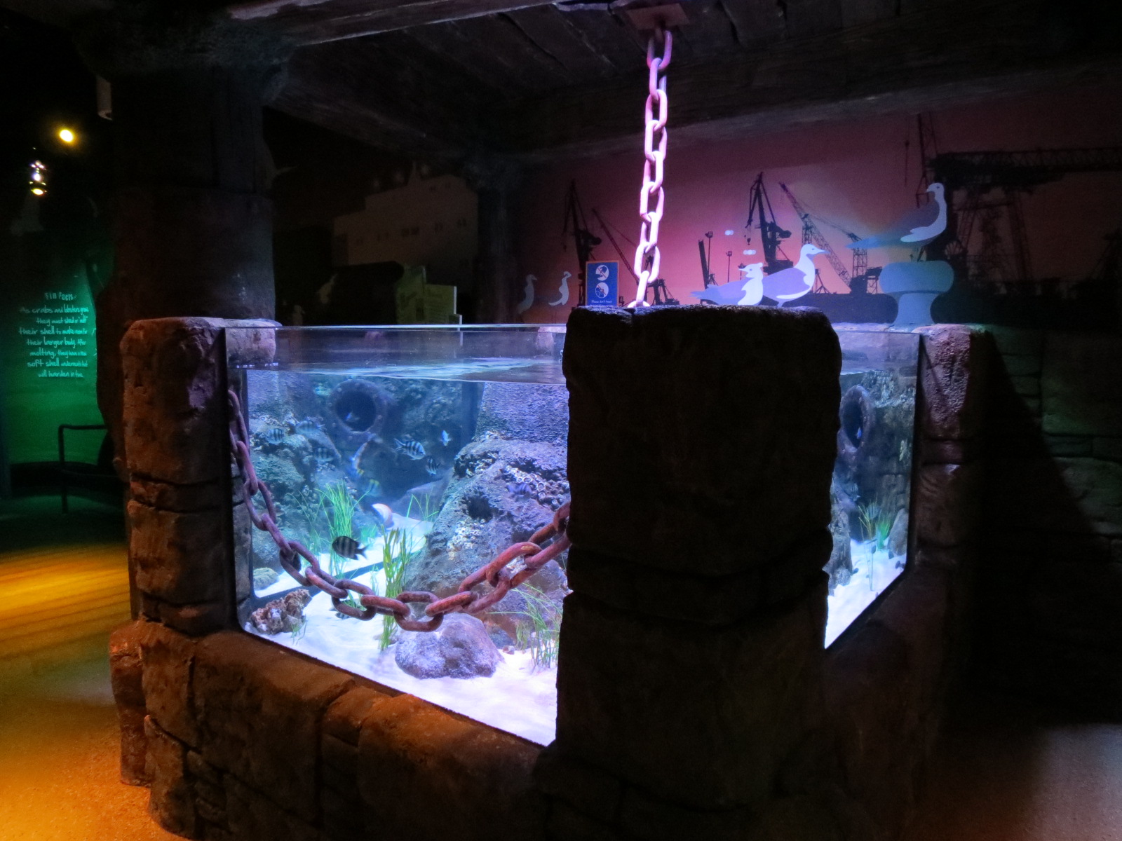 Harbor - Small Open-top Tank