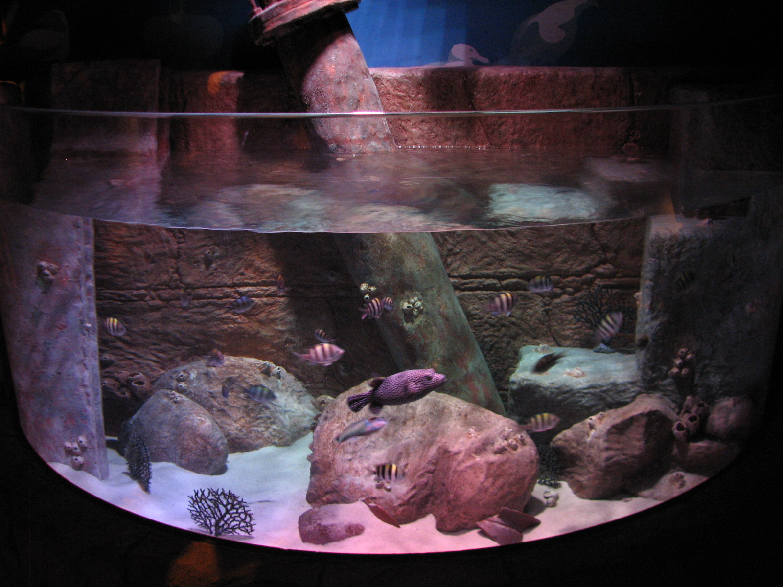 Harbor - Third Exhibit